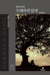 수레바퀴밑에 (헤르만 헤세 선집02)